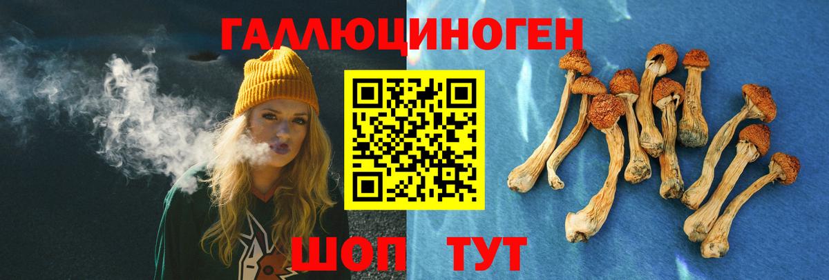Галлюциногенные грибы мицелий Качканар
